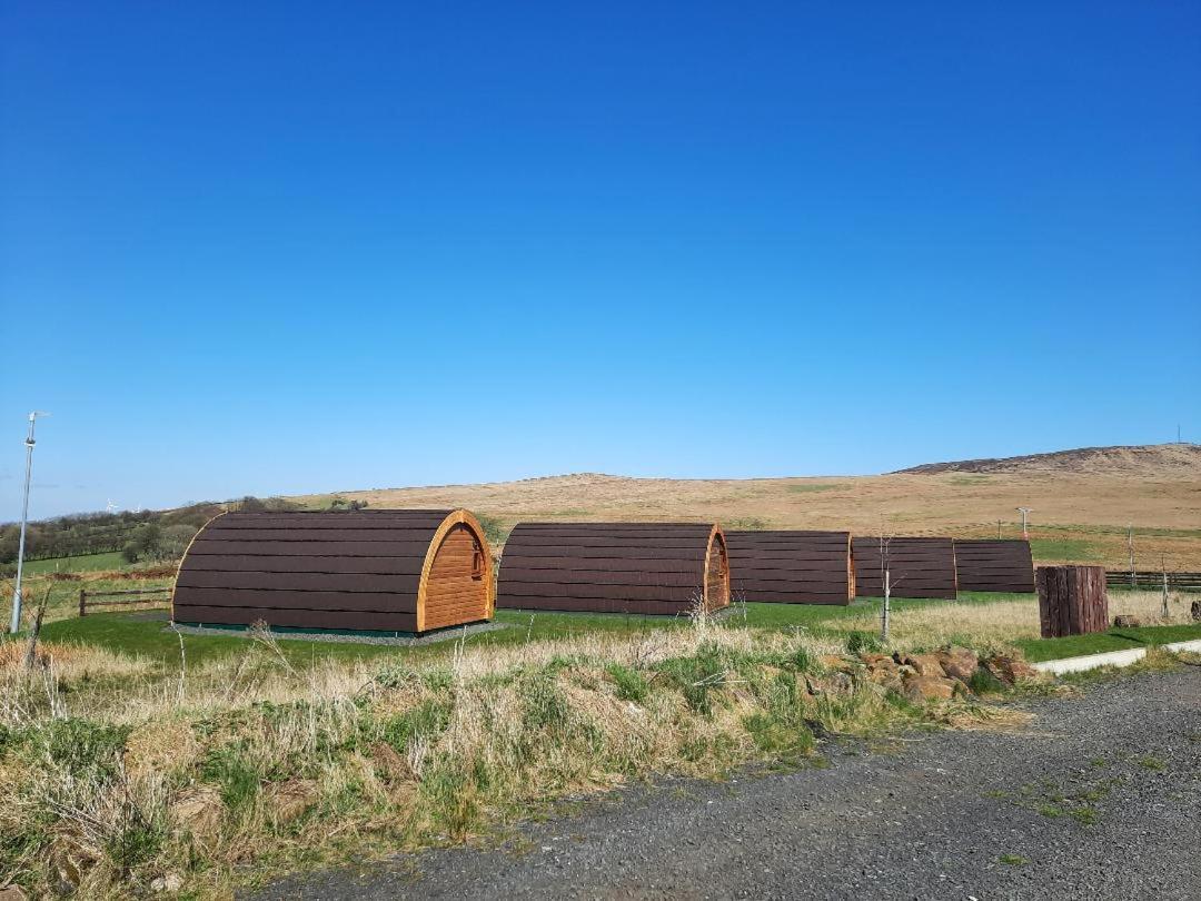 Standing Stones Lodge Belfast Buitenkant foto